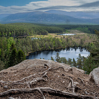 Glenmore Forest Park - Uath Lochans